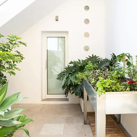Apartamento Luna *